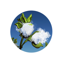 Cotton