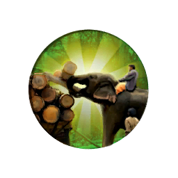 [COLOR_POSITIVE_TEXT](Siamese)[ENDCOLOR] Elephant Camp