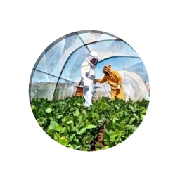 [COLOR_POSITIVE_TEXT](Brazilian)[ENDCOLOR] Embrapa